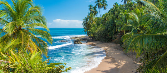 Costa Rica | August 2025