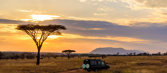 Private Guided Safari