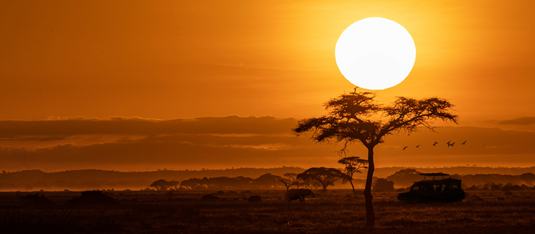 Africa | November 2025