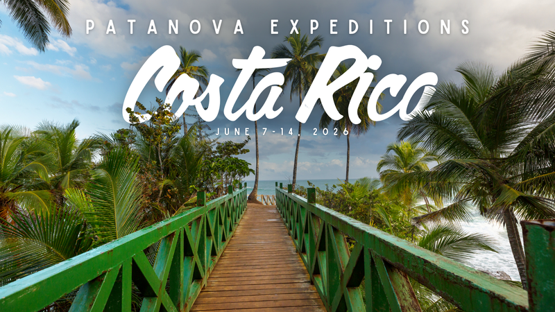 Load image into Gallery viewer, Costa Rica June 2026
