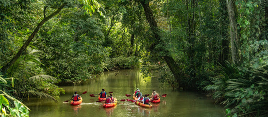 Unleash Your Adventure