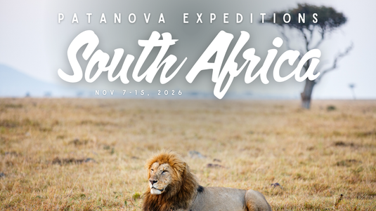 South Africa November 2026