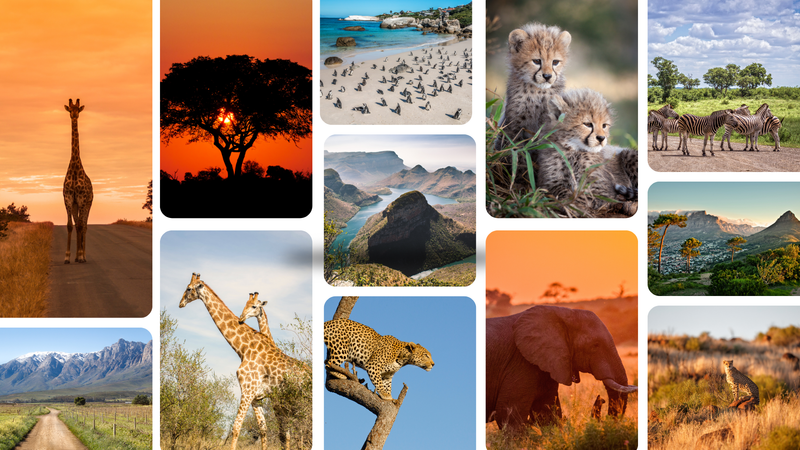 Load image into Gallery viewer, South Africa November 2026
